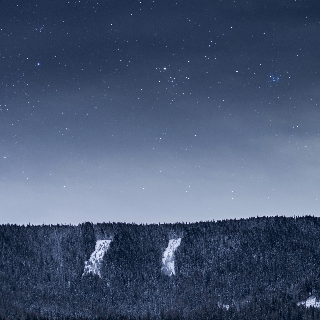 Вид на ночное небо со звездами над лесом