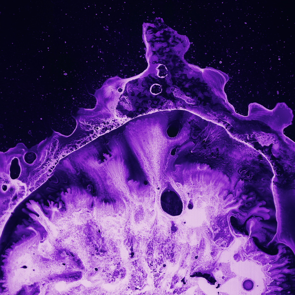 Фиолетовый коралл под микроскопом 