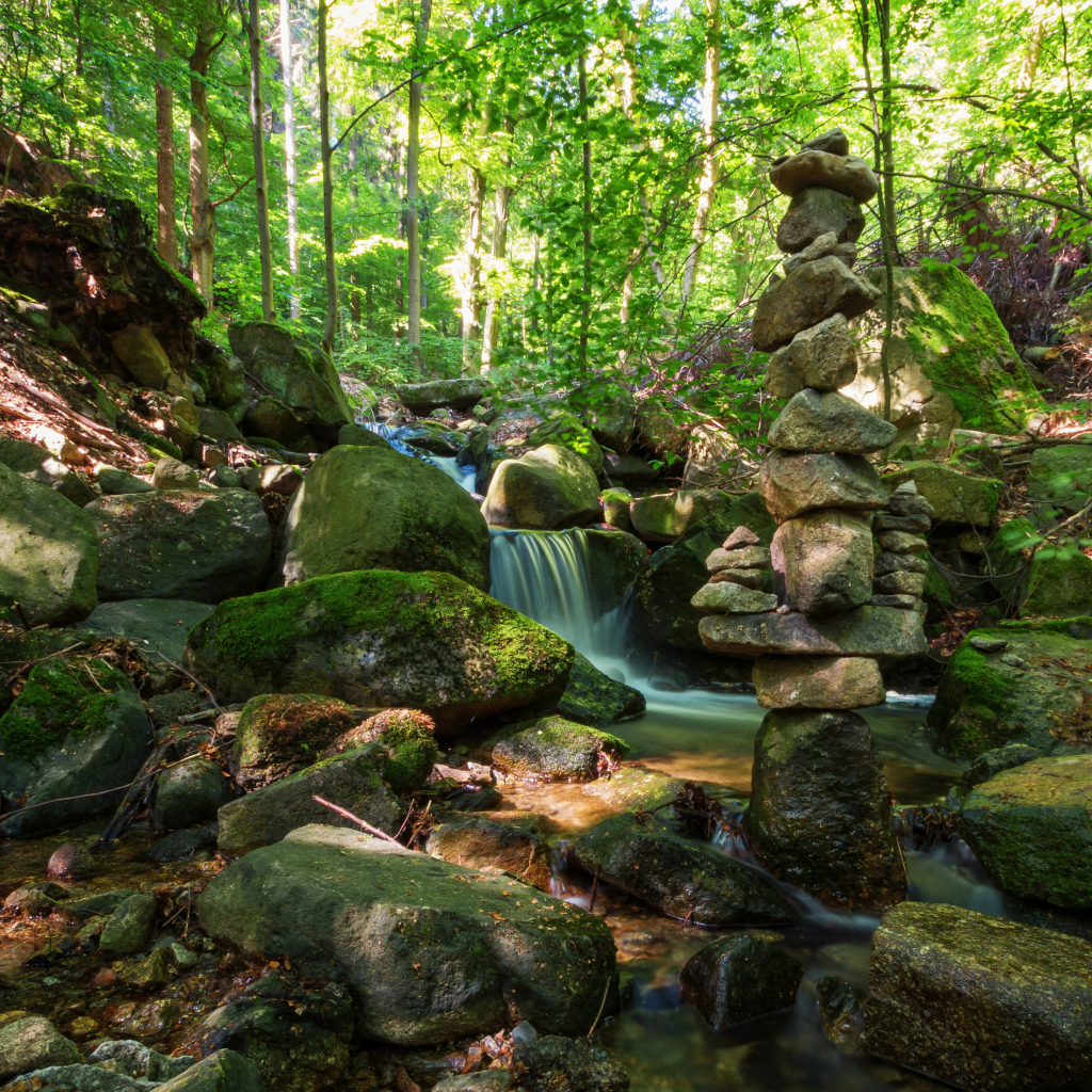 Вода стекает по покрытых мхом камням