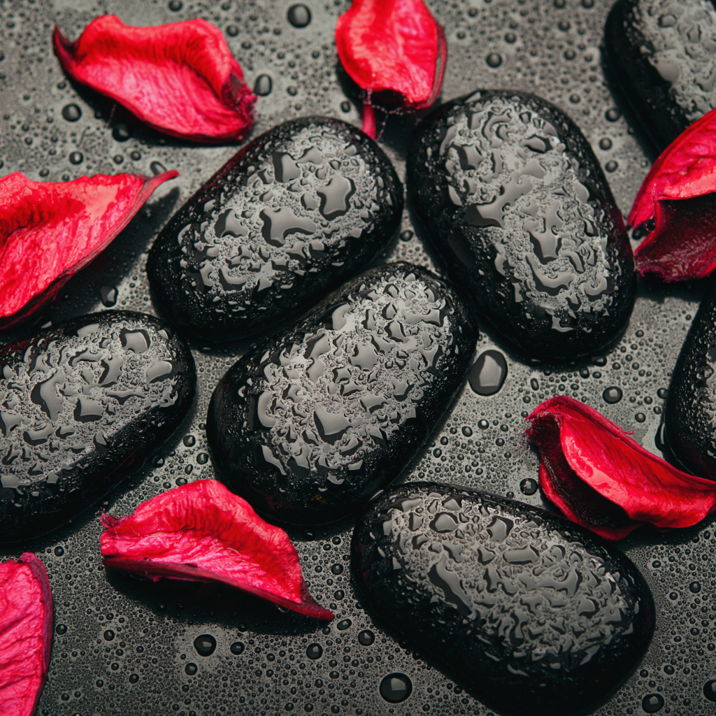Мокрые черные камни с лепестками красной розы