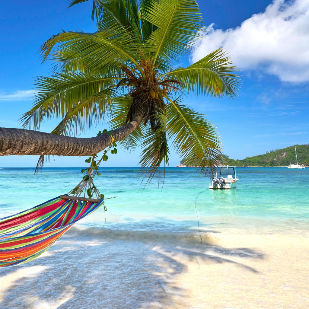 Разноцветный гамак висит на пальме на тропическом пляже 