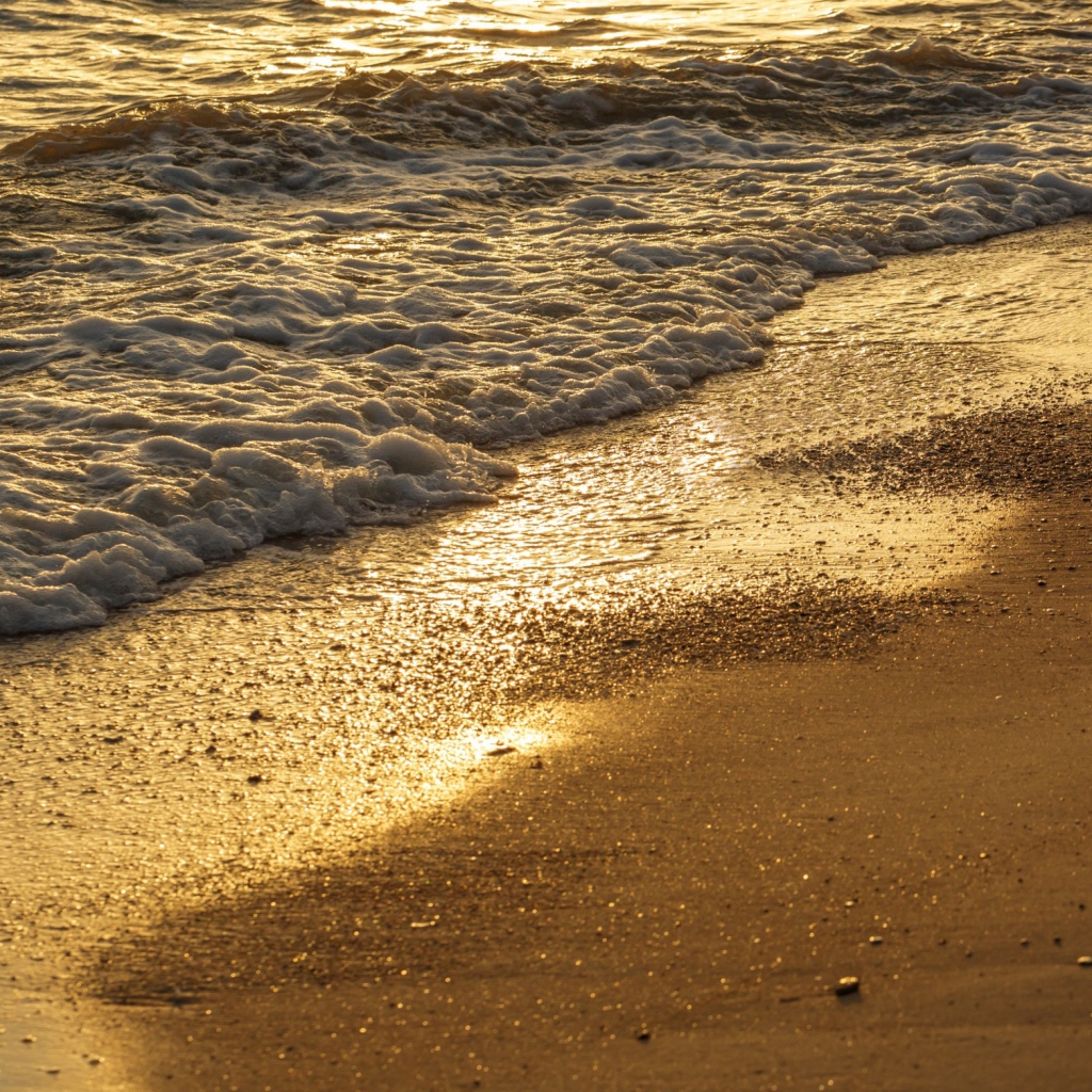 Белая морская пена на желтом мокром песке на пляже