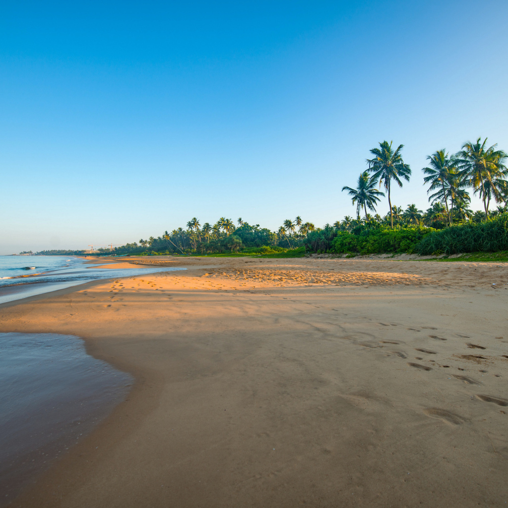 Желтый песок на тропическом пляже на рассвете 