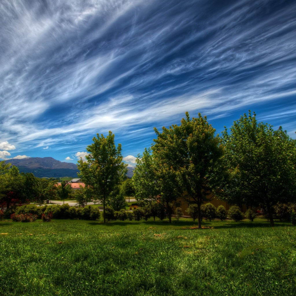 Красивое небо с облаками над деревьями