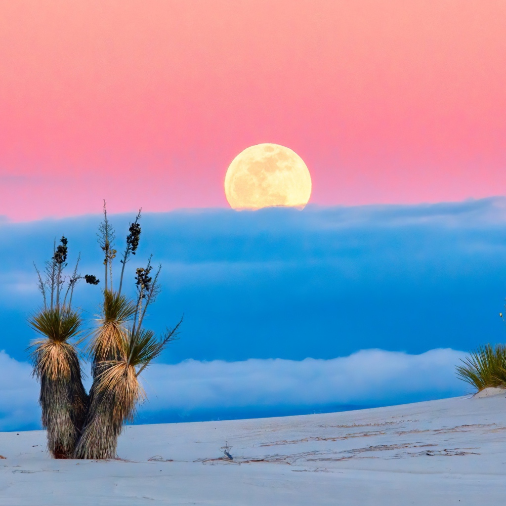 Большая желтая луна в розовом небе с облаками над пустыней 