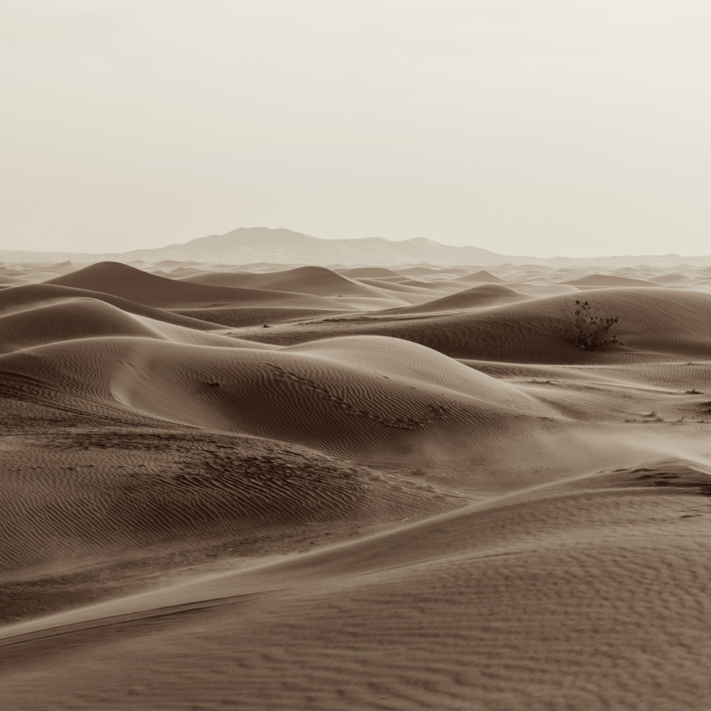 Бескрайние пески пустыни 