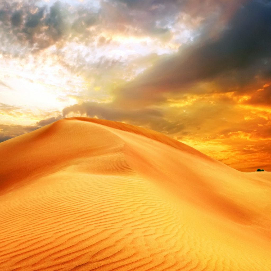 Закат солнце над барханом в пустыне 