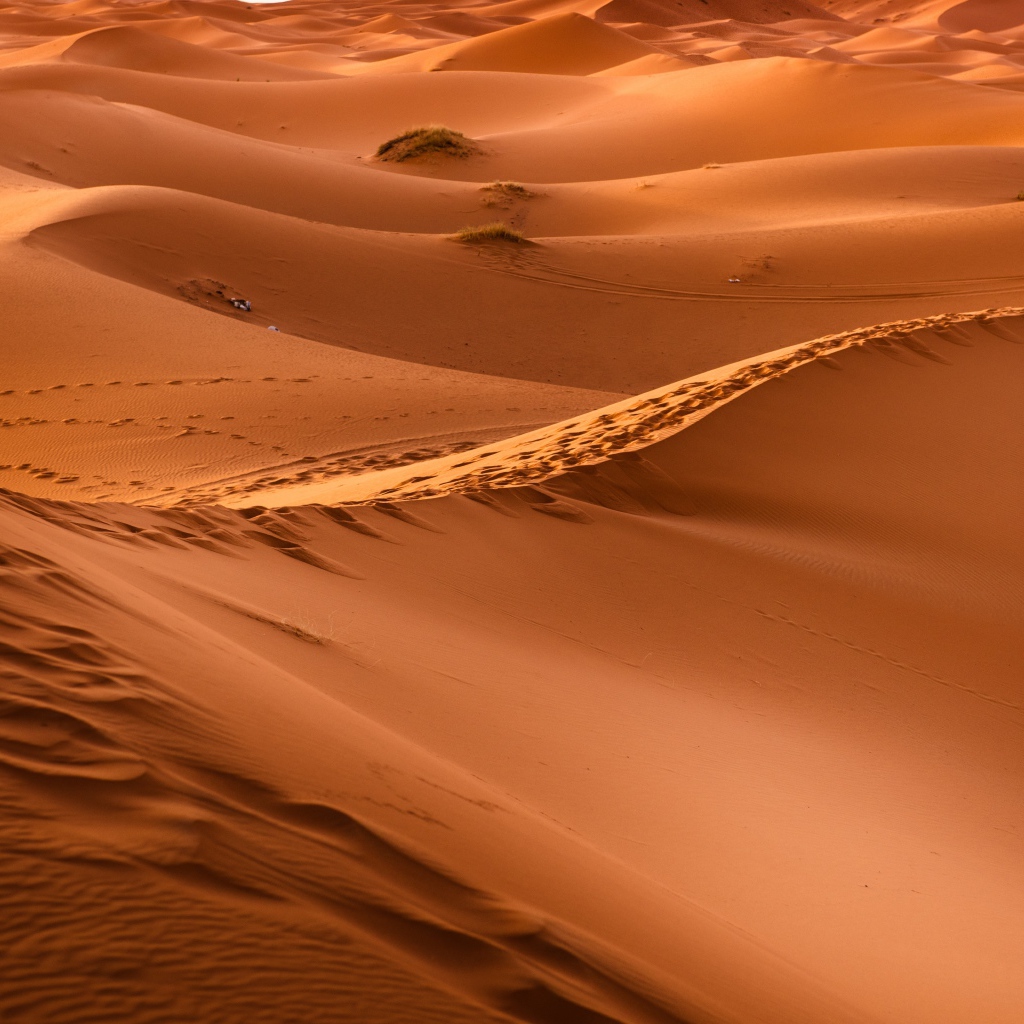Бескрайние просторы горячей пустыни Сахара 