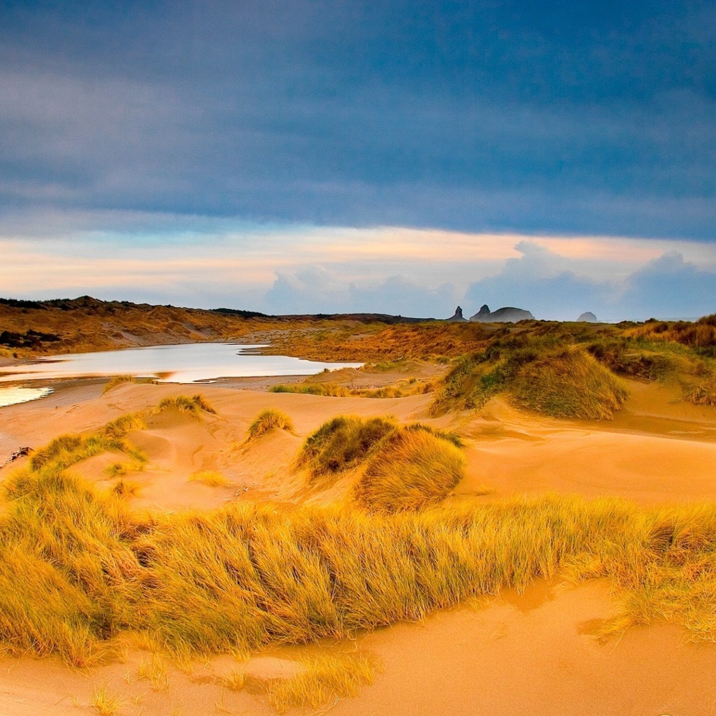 Мокрый песок с травой в пустыне