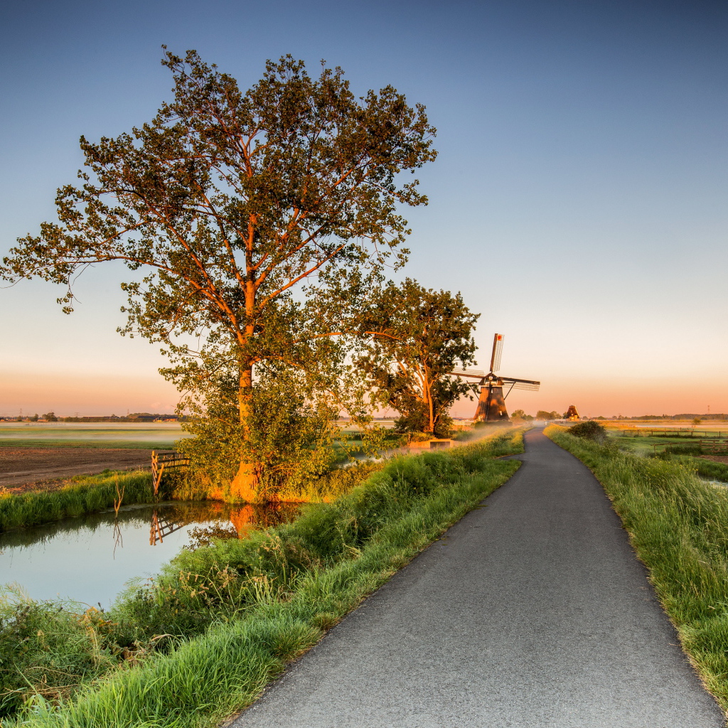 Поле и мельница у дороги на рассвете 