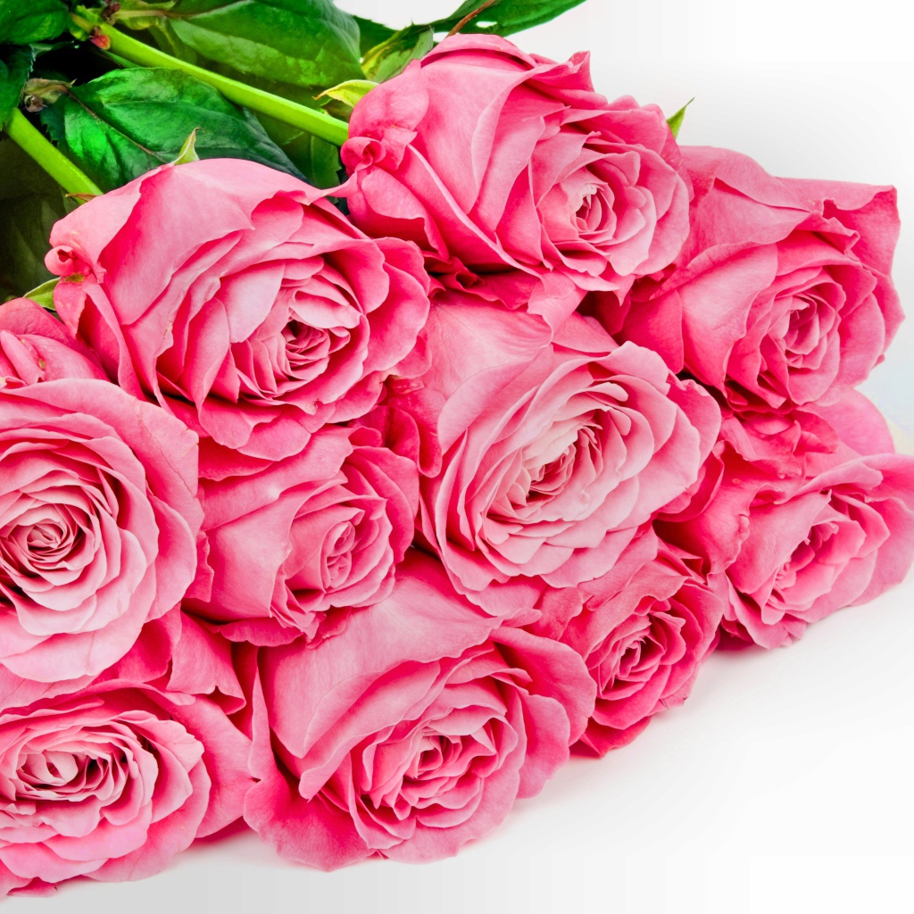 Большой букет розовых роз с зелеными листьями на белом фоне для любимой 