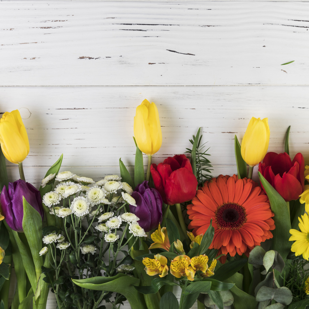 Цветы альстромерии, тюльпанов и георгин на белом фоне 