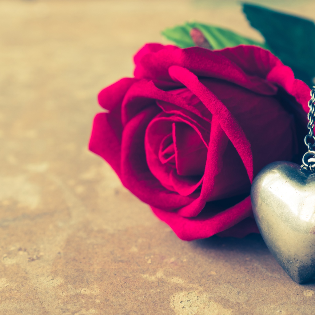 Искусственная роза с кулоном на столе