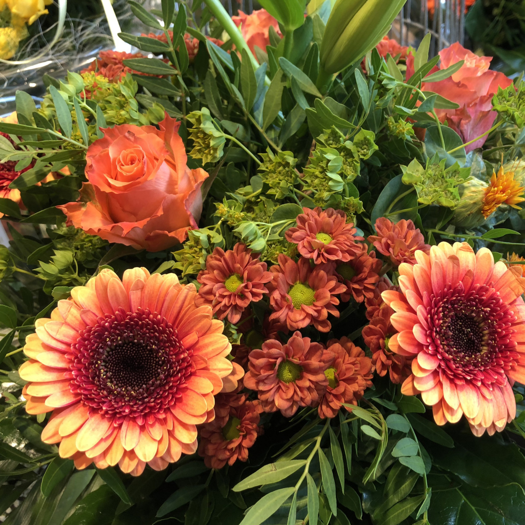 Красивые оранжевые герберы с цветами хризантемы