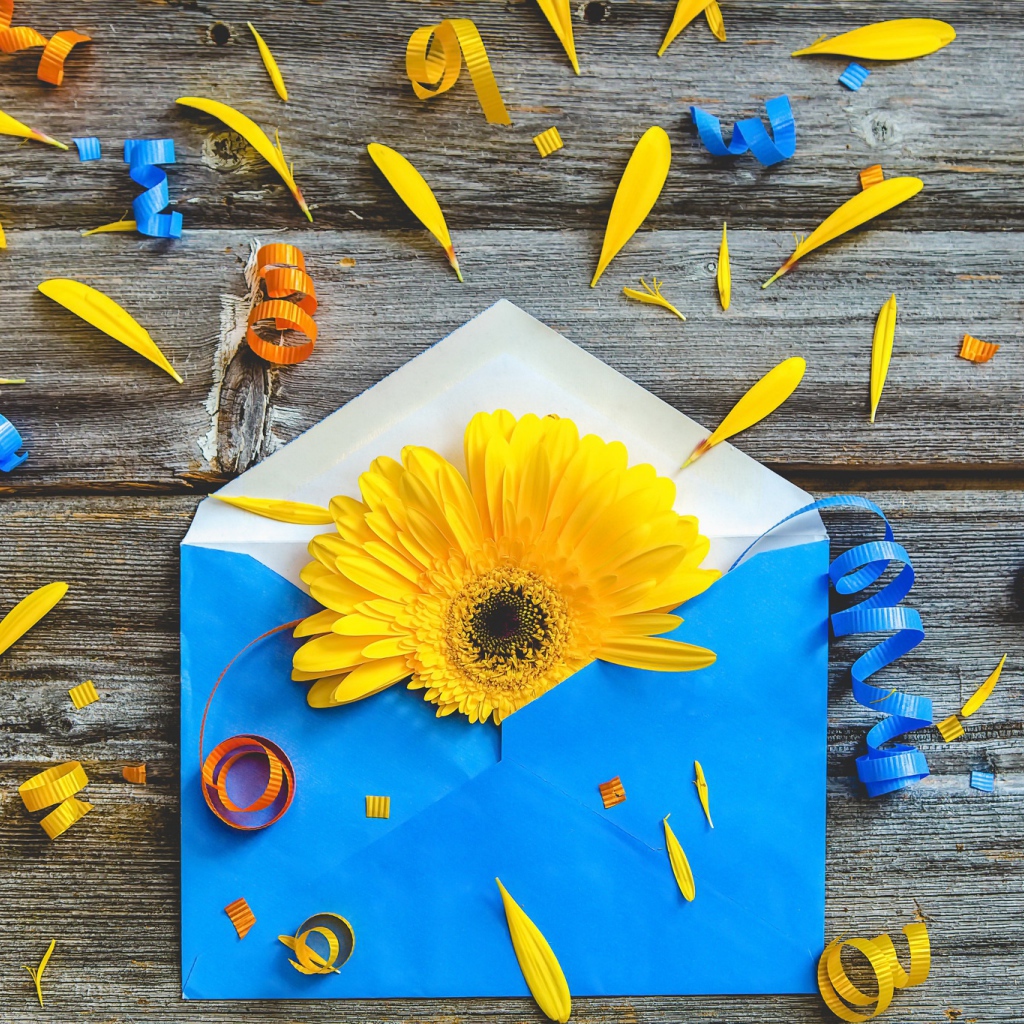 Синий конверт с желтым цветком гербер 