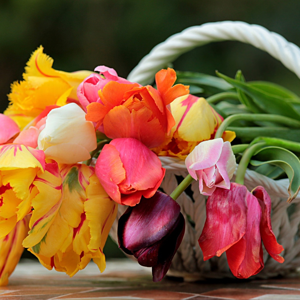 Букет красивых разноцветных тюльпанов в корзине 