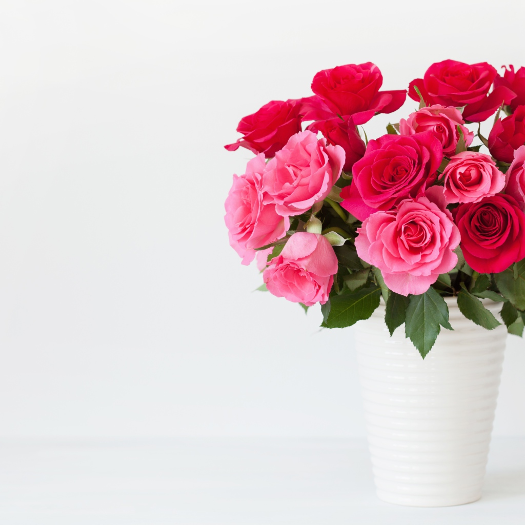 Букет красивых розовых роз в белой вазе на белом фоне