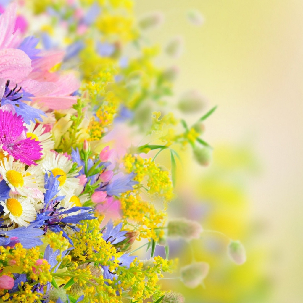 Букет разноцветных ярких летних цветов на размытом фоне