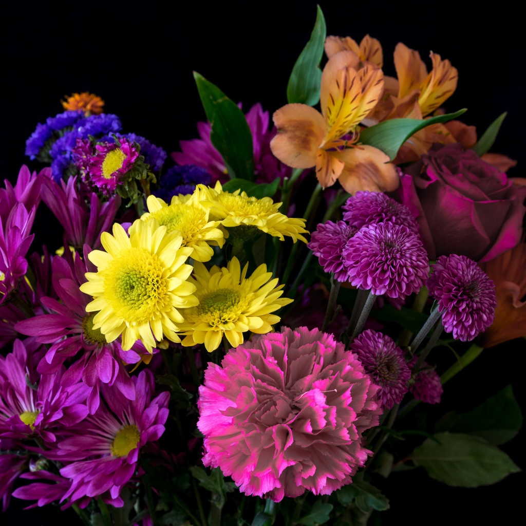 Букет разноцветных цветов на черном фоне крупным планом