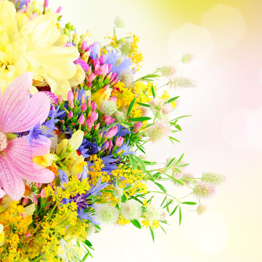 Букет разноцветных летних цветов на розовом фоне