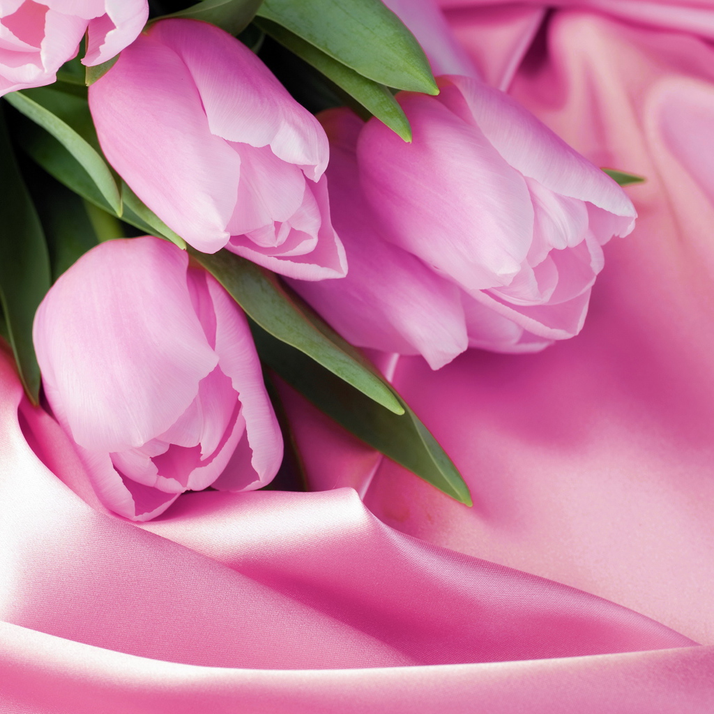 Букет нежных тюльпанов на розовой шелковой ткани 