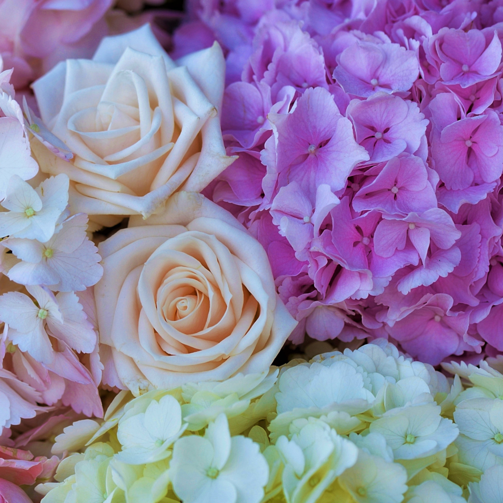 Букет из цветов гортензии и розы крупным планом
