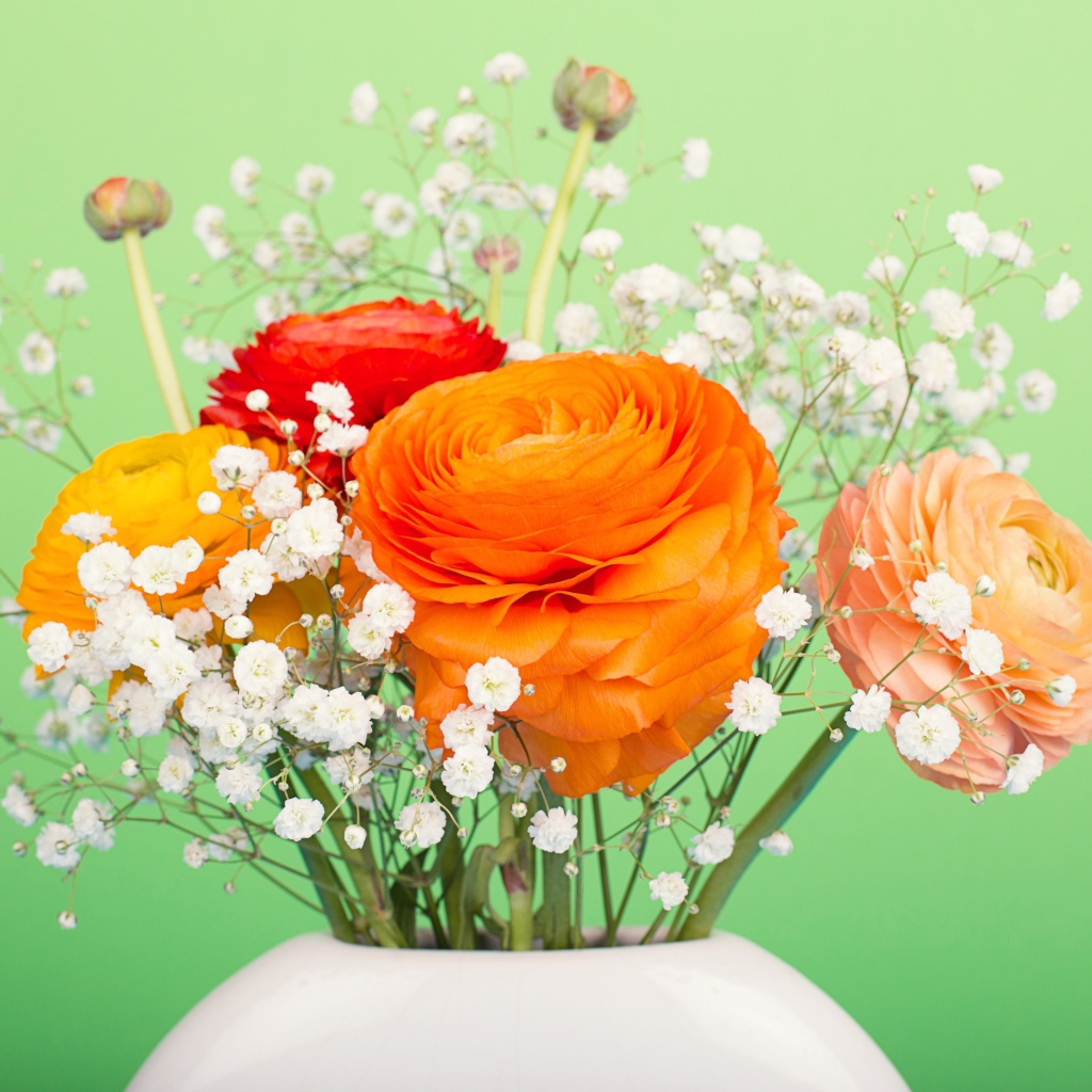 Букет разноцветных лютиков в белыми цветами в вазе на зеленом фоне