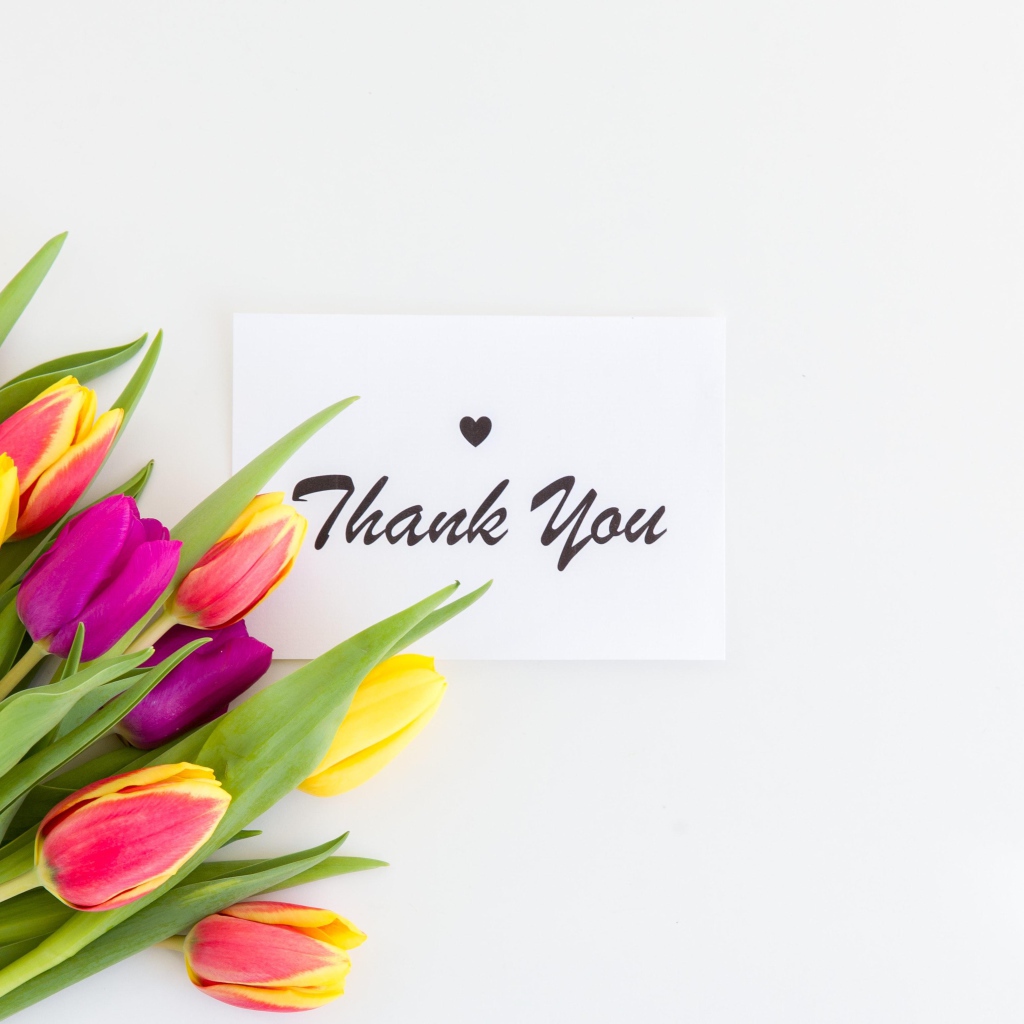 Букет разноцветных тюльпанов и надпись спасибо на белом фоне