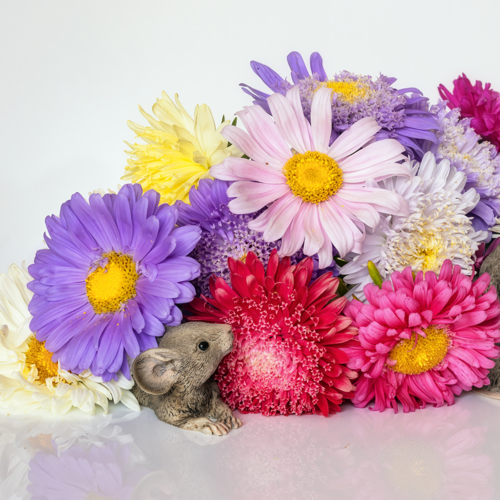 Букет разноцветных цветов астры с фигурками мышей