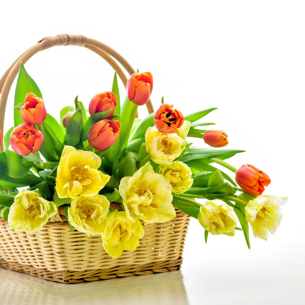 Букет оранжевых и желтых тюльпанов в корзине на белом фоне