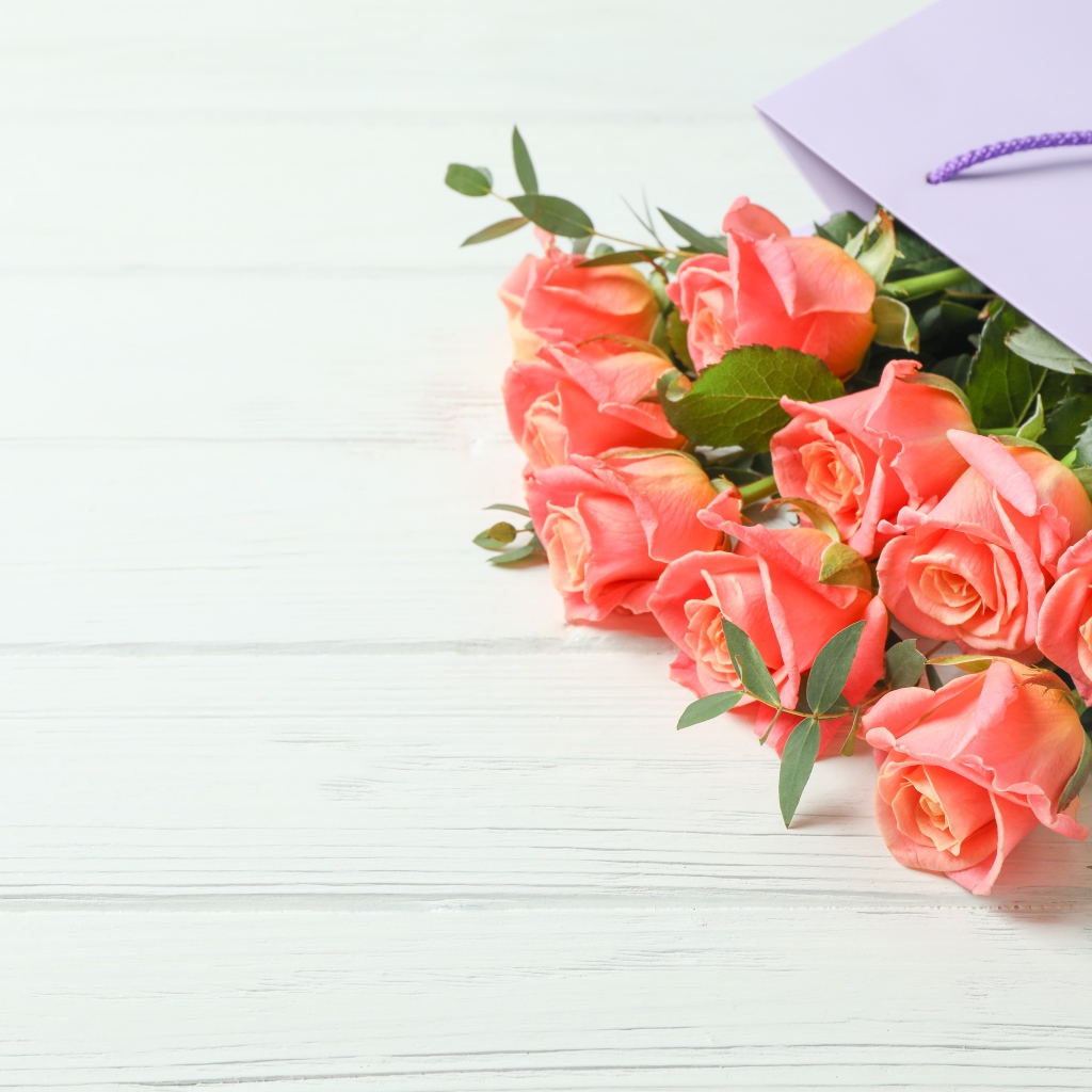 Букет розовых роз в подарочном пакете на белом фоне