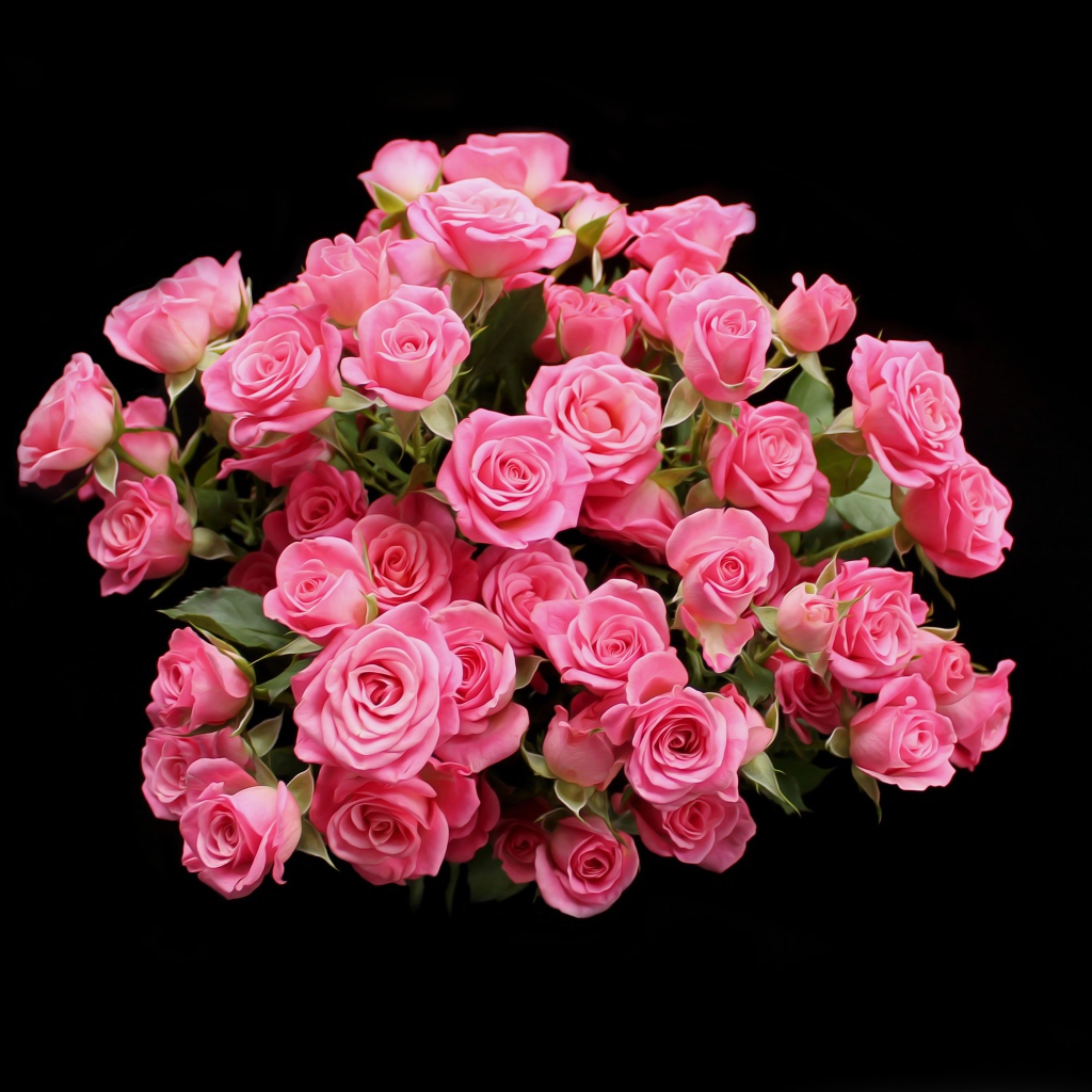 Букет розовых роз на черном фоне