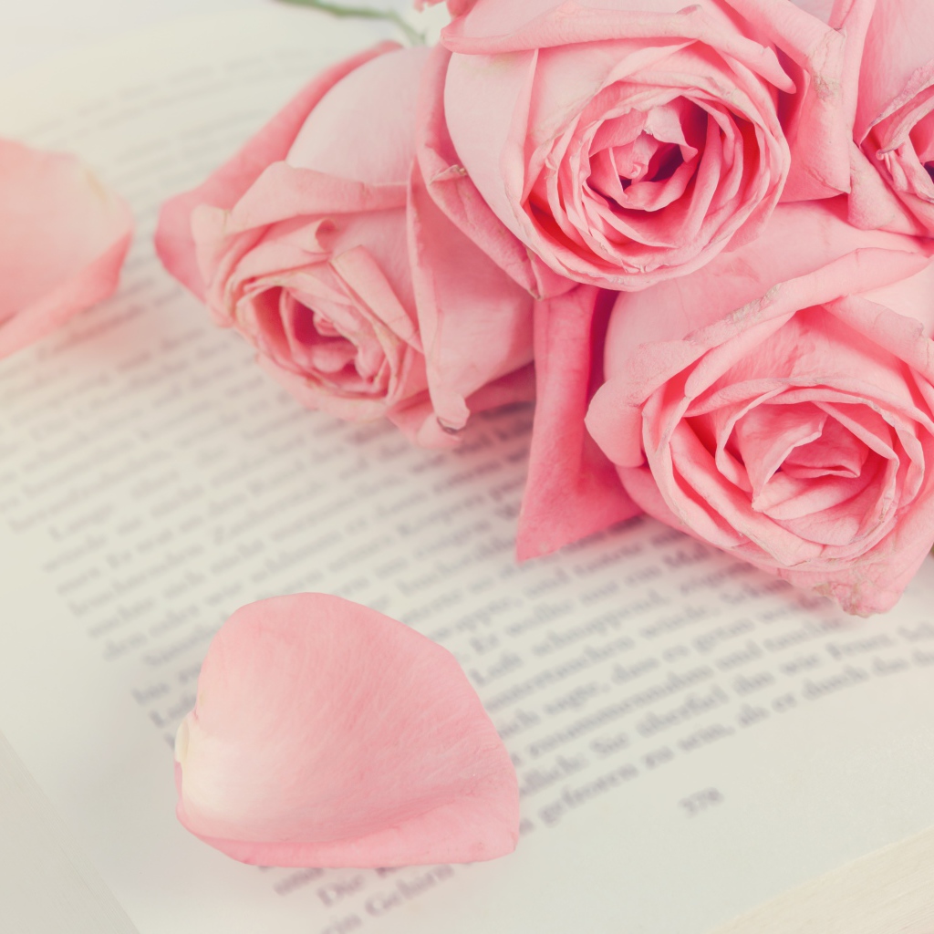 Букет розовых роз на книге