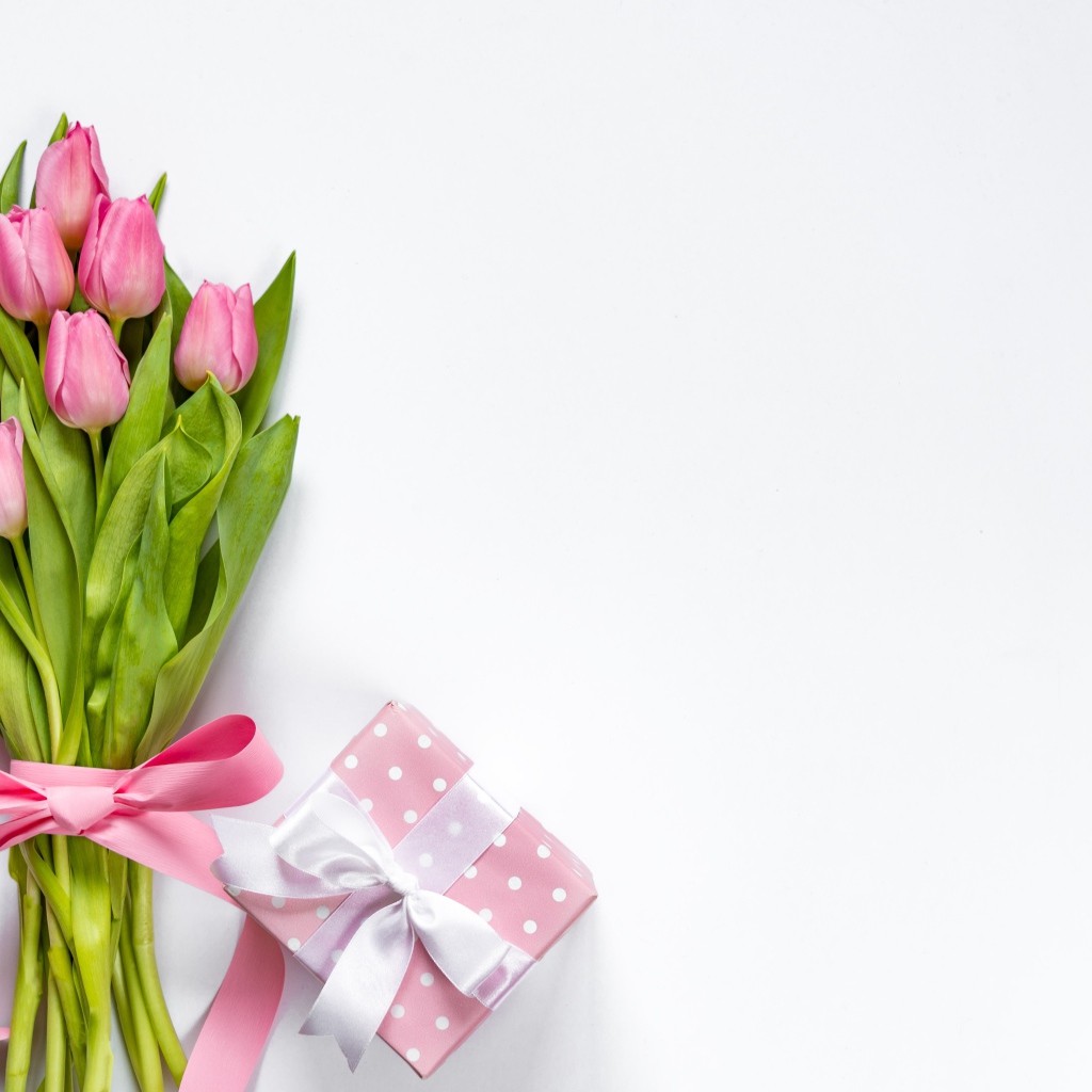 Букет розовых тюльпанов с бантом на белом фоне с подарком