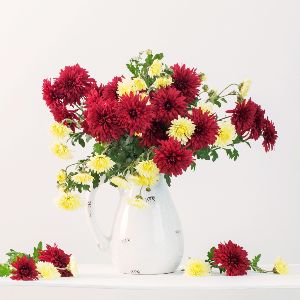 Букет красных и желтых хризантем в вазе на белом фоне