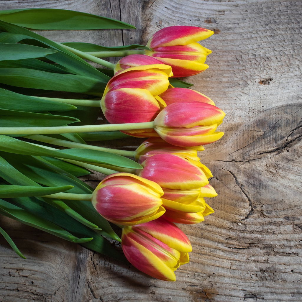 Букет красных тюльпанов с желтыми ободками на деревянном столе