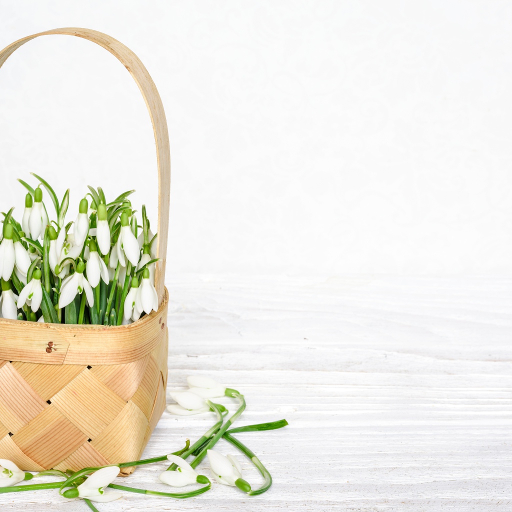 Букет подснежников в корзине на белом столе 