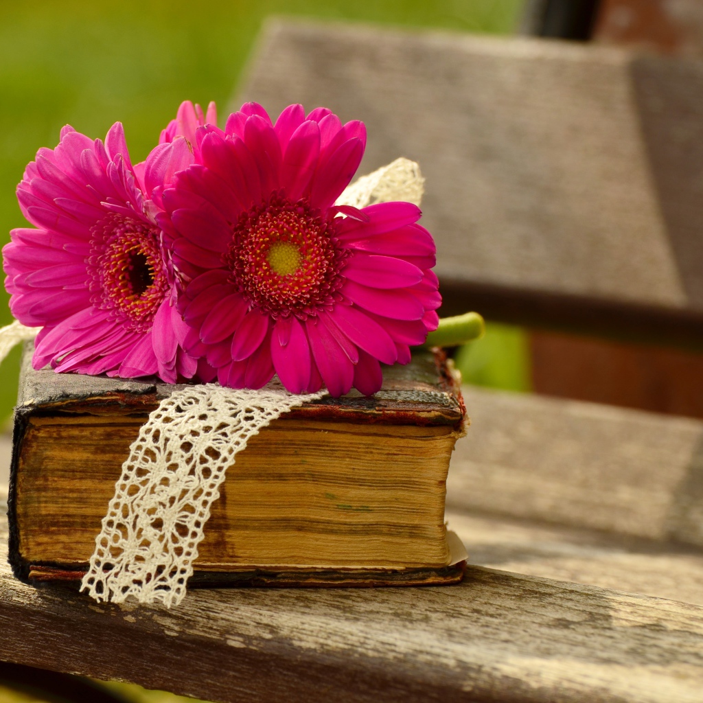 Цветы герберы со старой книгой на лавочке