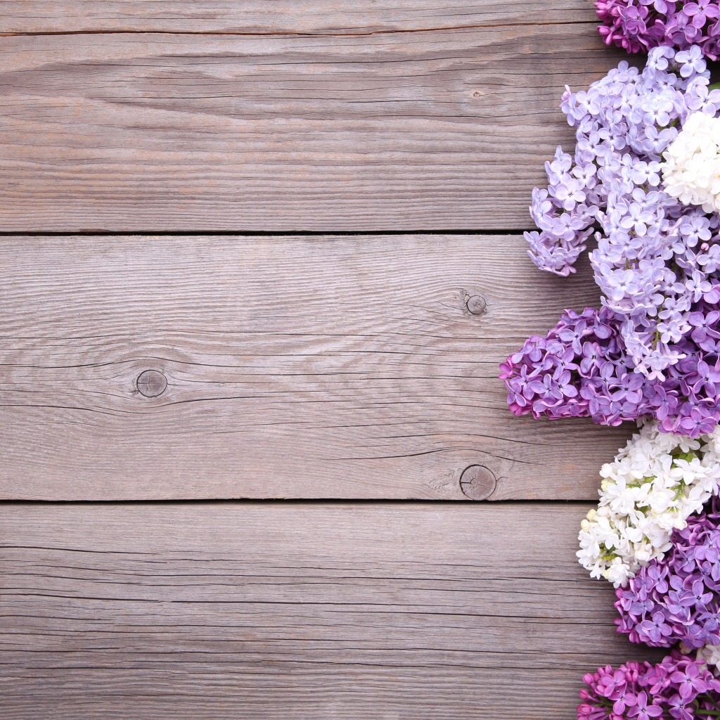 Разноцветные цветы сирени на деревянном фоне