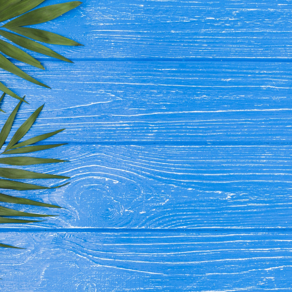 Розовые цветы альстромерии с зелеными листьями на голубом столе 