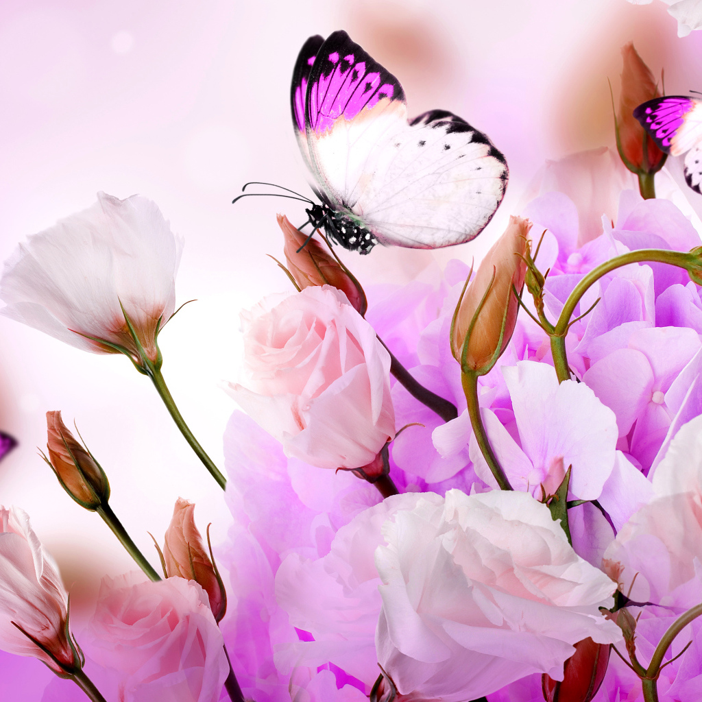 Розовые цветы эустомы с бутонами на фоне с бабочками