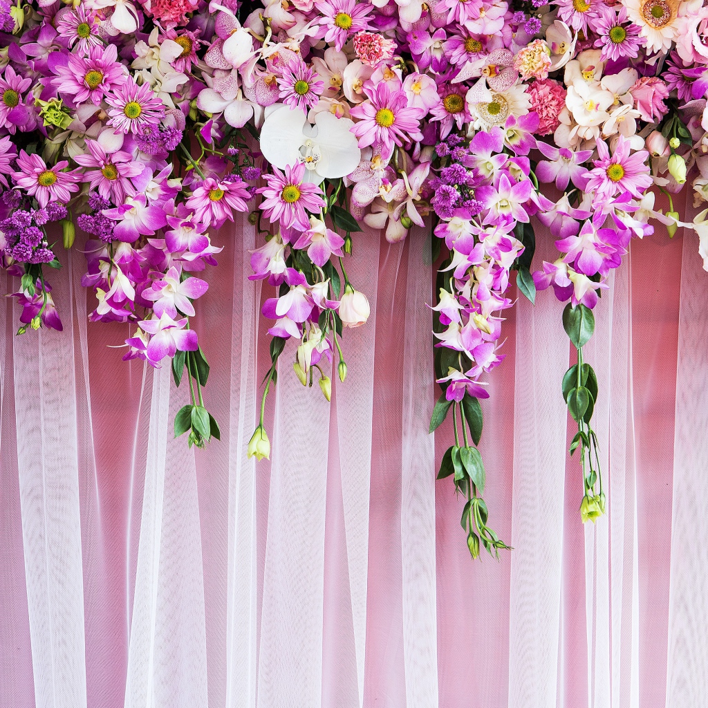 Розовые  живые цветы висят на стене 