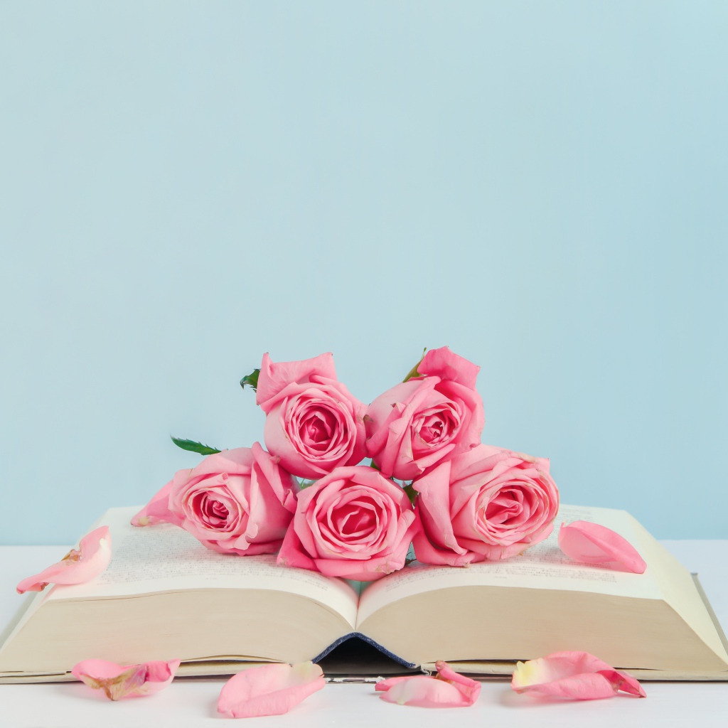 Розовые цветы розы с книгой на голубом фоне
