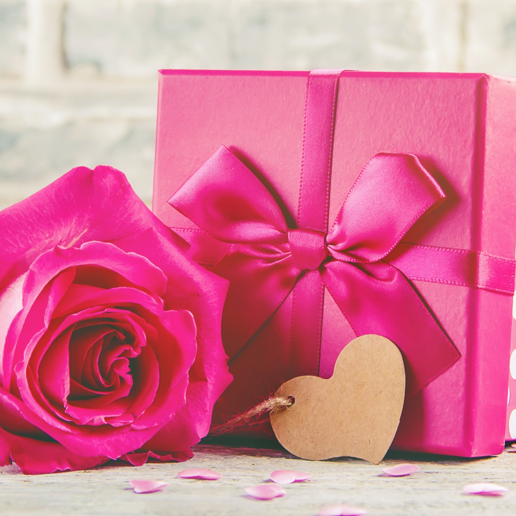 Розовая роза на столе с большим подарком с бантом