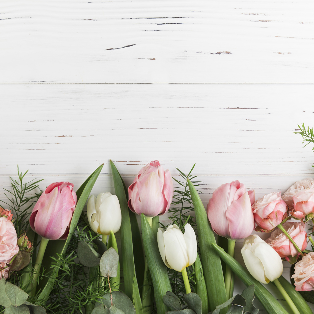Розовые тюльпаны и розы на белом фоне