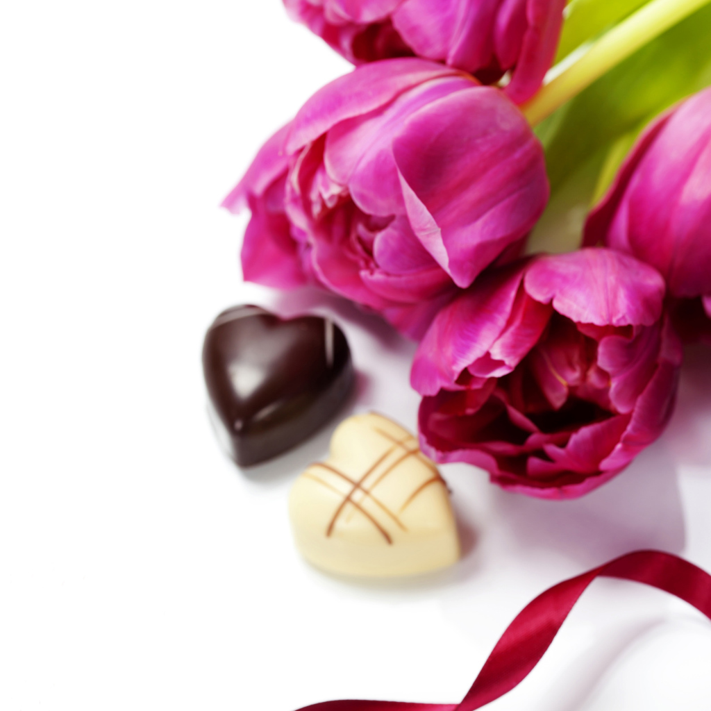 Тюльпаны на белом фоне с шоколадными конфетами