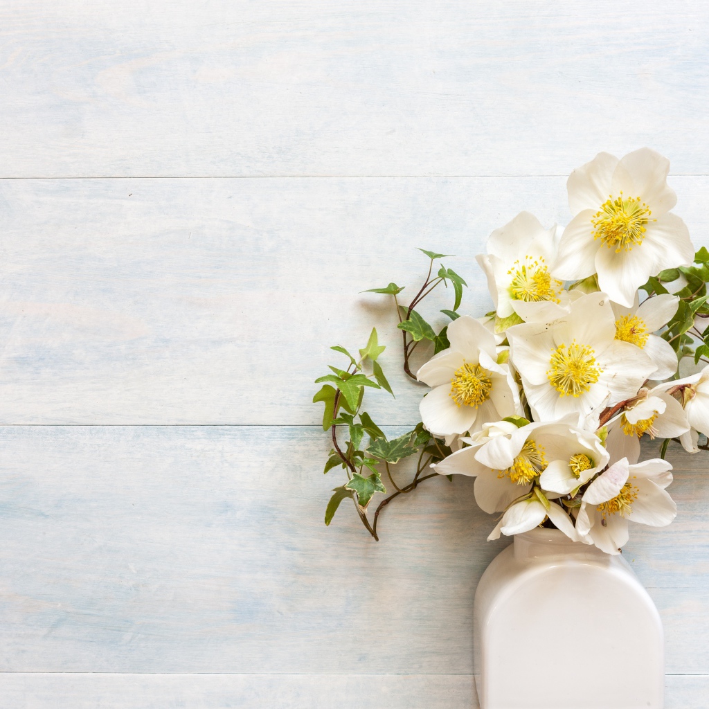 Белые цветы морозника в вазе у стены