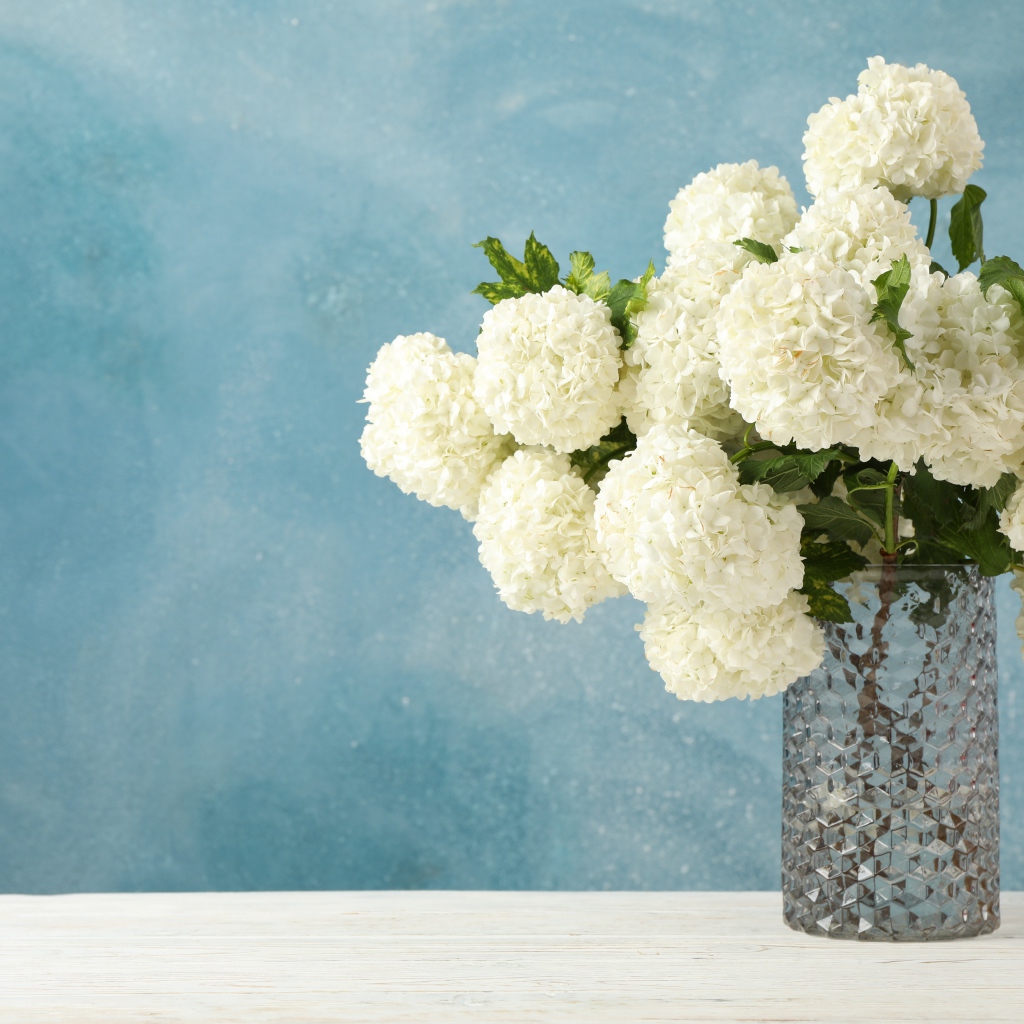 Белые цветы гортензии в стеклянной вазе на столе 