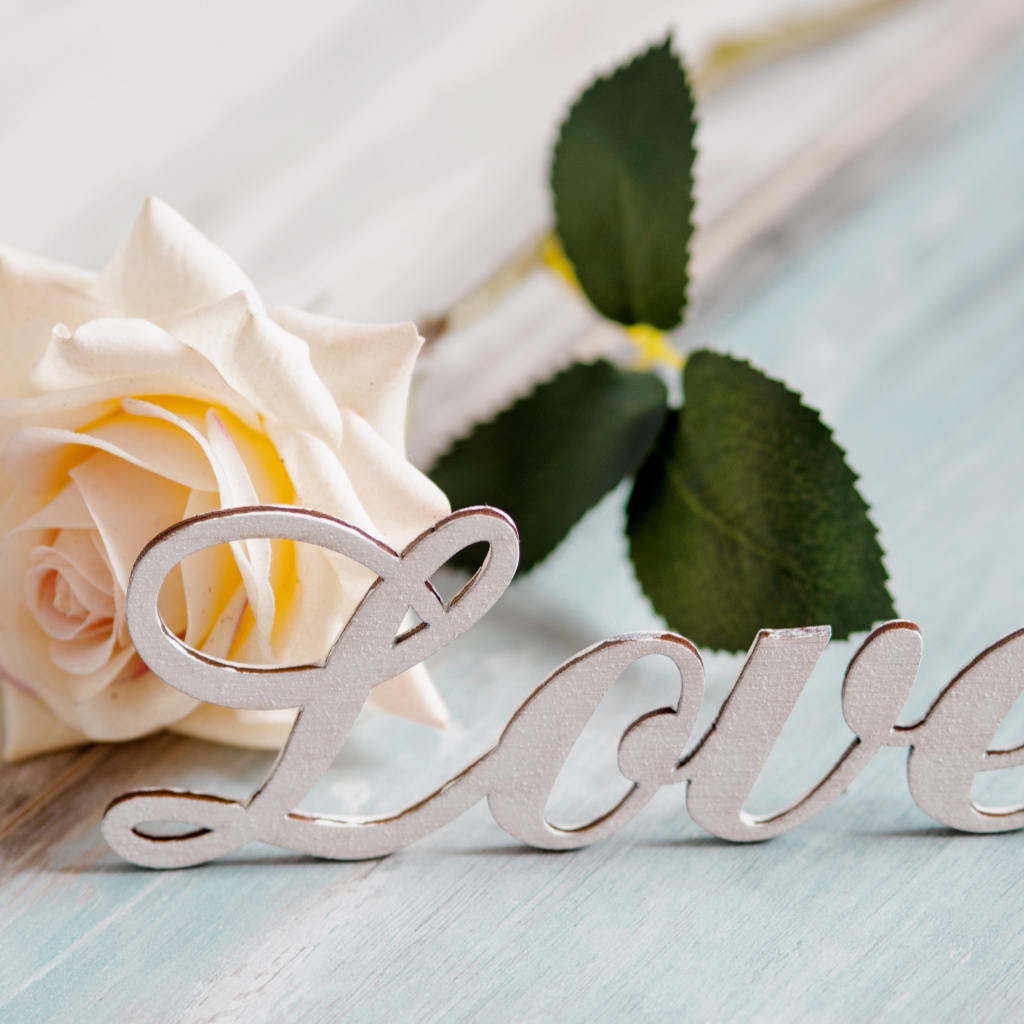 Белая надпись любовь на английском с белой розой