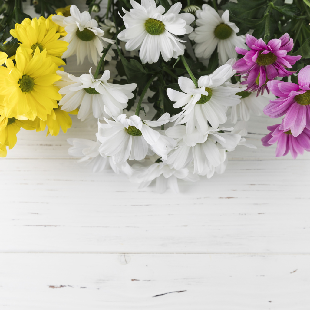 Желтые, белые и розовые хризантемы на белом деревянном столе